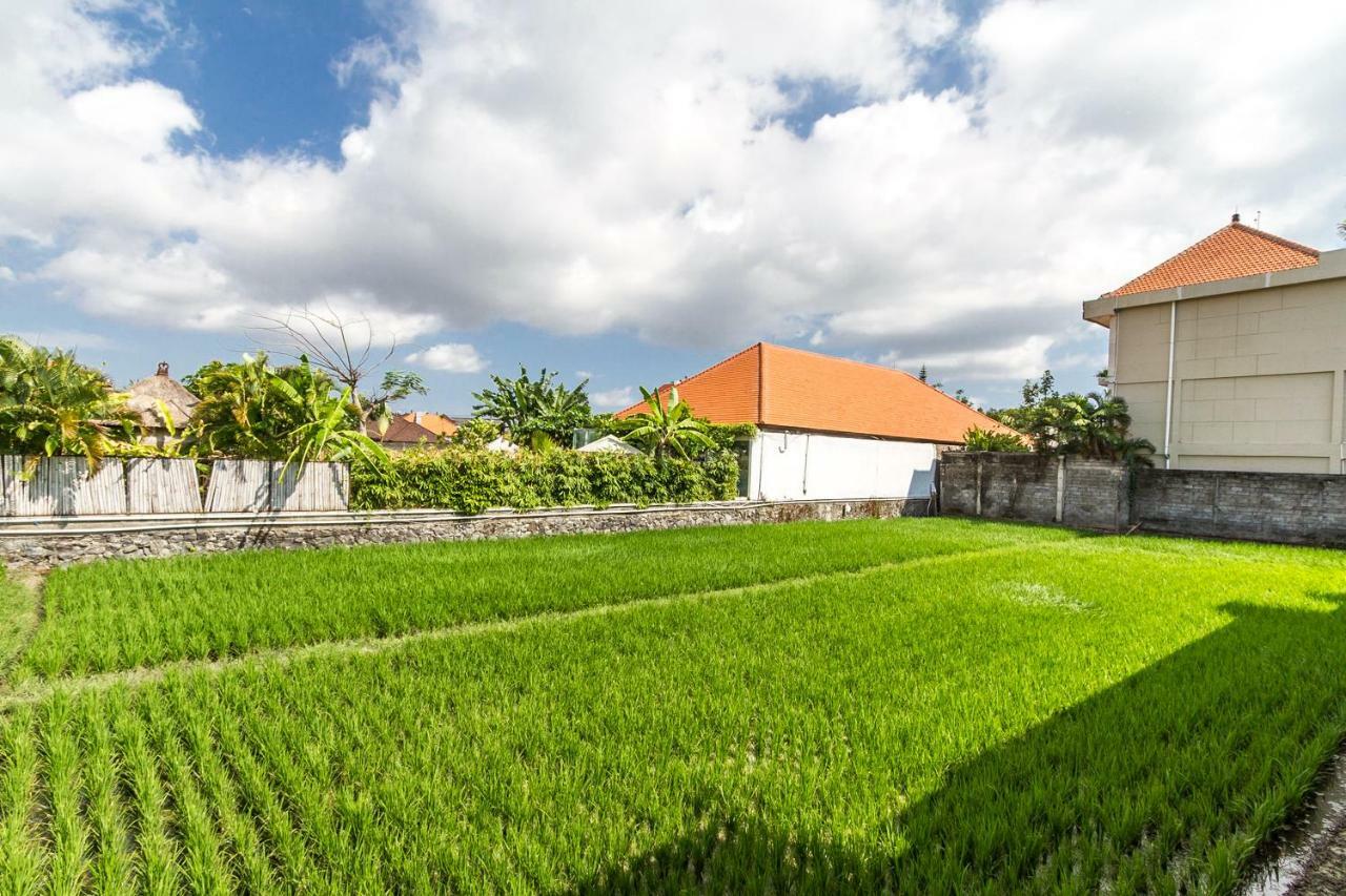 Villa Maje By Alfred In Bali 塞米亚克 外观 照片